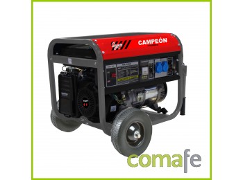 Generador gas. 11 cv 4kva 25lt