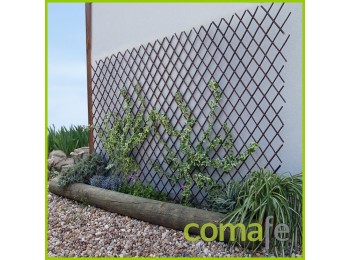 Celosia natural willow trellis