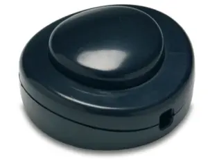 INTERRUPTOR 2A-250V DE PIE 65X