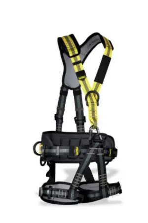 ARNES SEG 1888-ATS VENTRAL/DOR