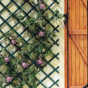 CELOSIA JARD 1X2MT TRELLIFLEX