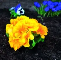 MALLA ANTIHIERBA 80 GR MARRON