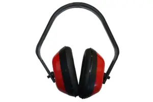 PROTECTOR AUDIT NV128788