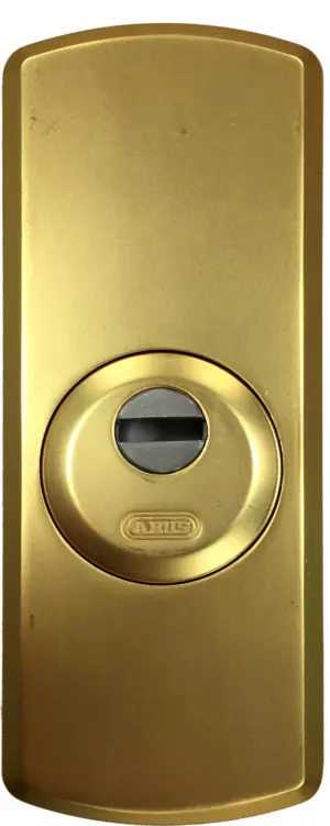 ESCUDO CILINDRO RHZS 524 70X18