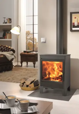 ESTUFA LEÑA 653X436X443MM AC J