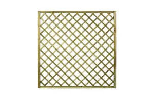 CELOSIA MADERA PREMICES CON MA