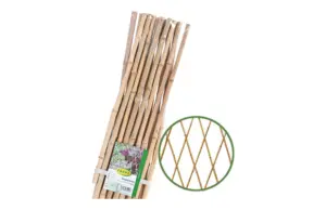 CELOSIA EXTENSIBLE BAMBU 90 X