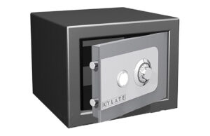 CAJA FUERTE SEG. 101-MS SOBREP