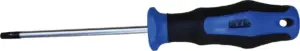 DESTORNILLADOR P.TORX T 25 X 1