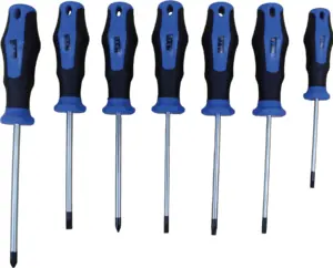 DESTORNILL. JGO 7 PZS 3 SL+2PH