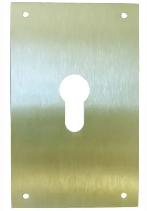 PLACA 80X120MM M-51/80120P LAT