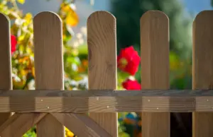 VALLA CLASIC MADER RAYAD 80X21