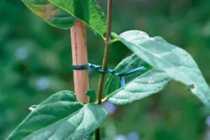 ALAMBRE JARDIN ALMA VERD 25 M