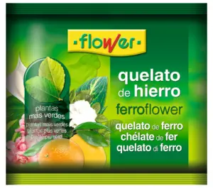 FERROTRENE QUELATO HIERRO 50 G