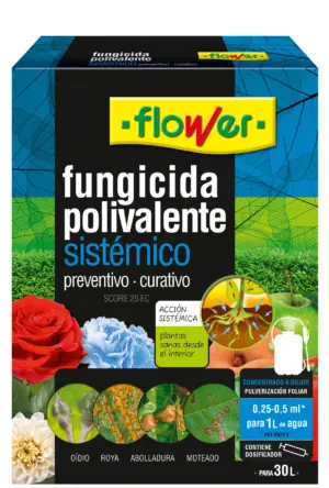 FUNGIDICA POLIV. SIST. 10 ML F