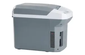 NEVERA RIGIDA TERMOELECTRICA 1