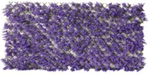 CELOSIA EXTENSIBLE MIMBRE LILA