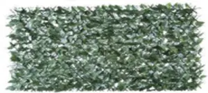 CELOSIA EXTENSIBLE MIMBRE HIED