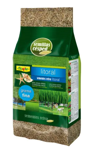 SEMILLAS CESPED LITERAL GRAMA