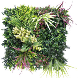 JARDIN VERTICAL BELICE A 50 X
