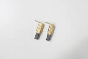 ESCOBILLAS LIJADORA ORBITAL WS