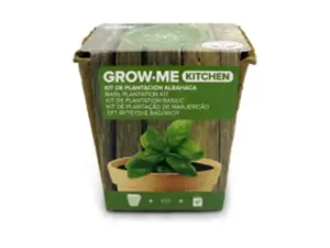 SEMILLAS ALBAHACA ANCHA 1 GR G