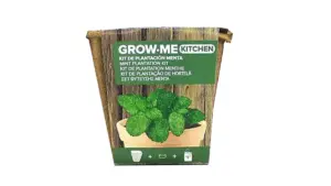 SEMILLAS MENTA PEPERITA 0,1 GR