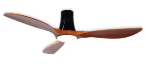 VENTILADOR TECHO CON LUZ 55W 1