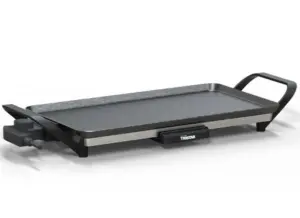 PLANCHA ASAR 2000W 46X26 CM