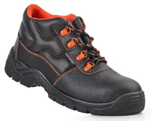 BOTA SEG S3 SRC BECO1 T39 BECO