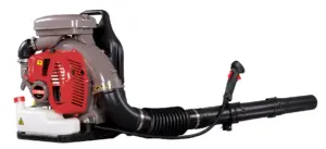 SOPLADOR DE MOCHILA CAMPEON 3