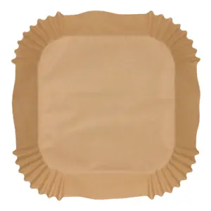 BANDEJA PAPEL FREIDORA AIRE 10