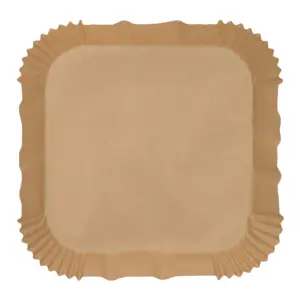 BANDEJA PAPEL FREIDORA AIRE 10