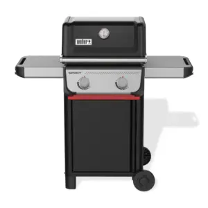BARBACOA GAS SPIRIT E210