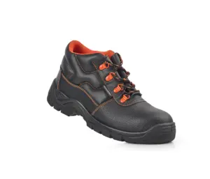 BOTA SEG S3 SRC BECO1 T38 BECO