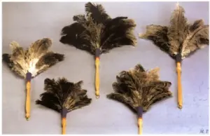 PLUMERO LIMP M/MAD 23CM RAFAEL