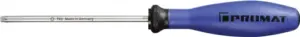 DESTORNILLADOR B/TORX T-25X100