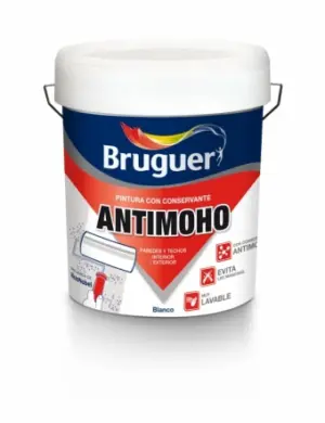 PINTURA PLAST BLANCO 5056571 4