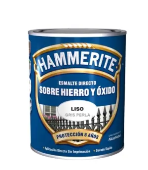 ESMALTE ANTIOXI.5093961 750ML