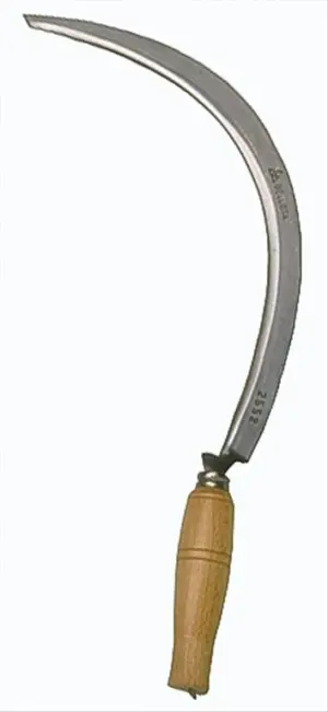 HOZ CORTE DENTADA 22X415 MM