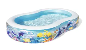 PISCINA HINCH 262X157X46CM FON