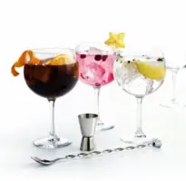 SET COPAS GIN 72CL 6 PZ 714452