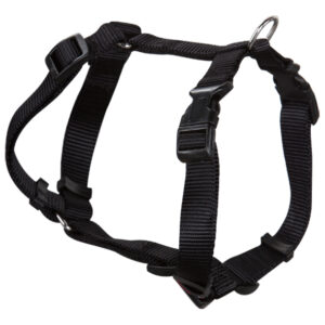 COLLAR ANCHO 1CM CAB 23A35CM T