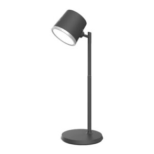 FLEXO LED CON BATERIA CAMALEON