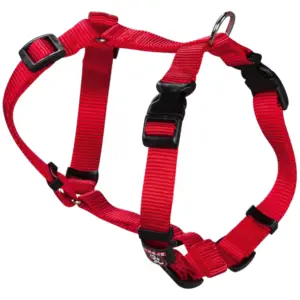 COLLAR ANCHO 1,5CM CAB 27,5A39