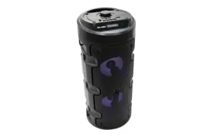 KARAOKE 10W SD+USB+FM MICROFON