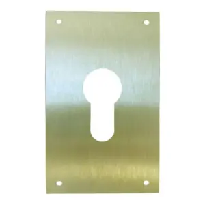PLACA CERRADURA 60X80MM 51061