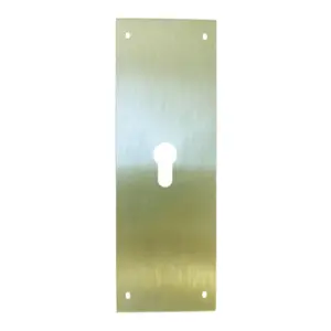 PLACA CERRADURA 90X250MM 51611