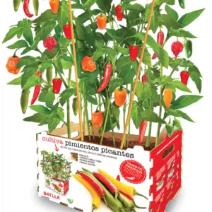 HUERTO URBANO PIMIENTOS PICANT