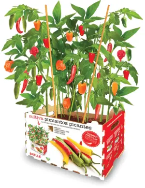 HUERTO URBANO PIMIENTOS PICANT